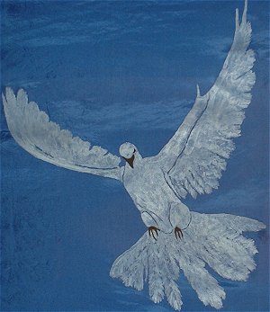 Dove details