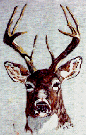 buck painting